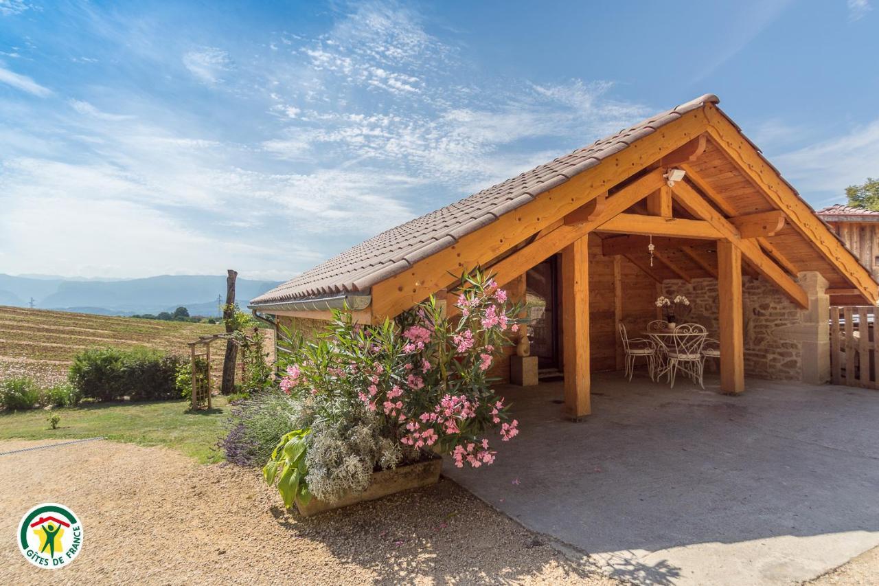 Chalet Le Clos De L'Orme Saint-Lattier Exteriér fotografie