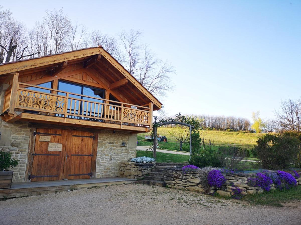 Chalet Le Clos De L'Orme Saint-Lattier Exteriér fotografie